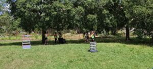 IMG 20230607 WA0020